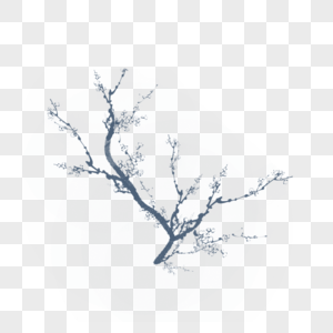低矮稀疏的树枝图片
