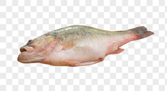 红烧鱼美味图片