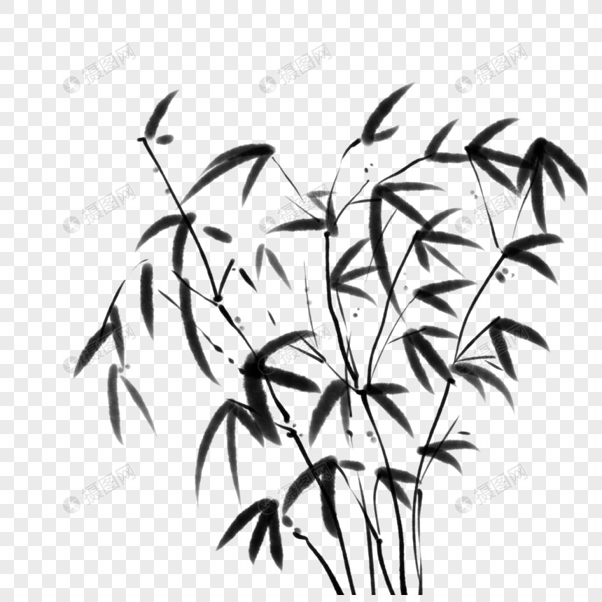 黑白竹子图片