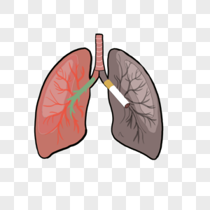 禁烟二手烟的危害高清图片