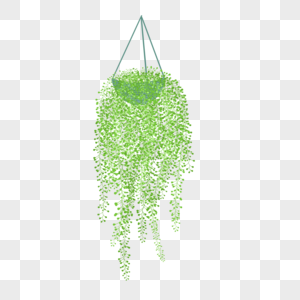 绿色盆栽吊篮植物图片