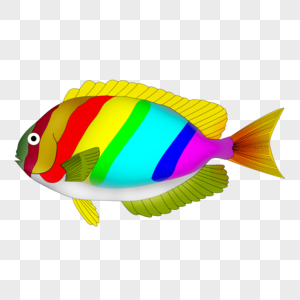 海洋生物彩色鱼图片