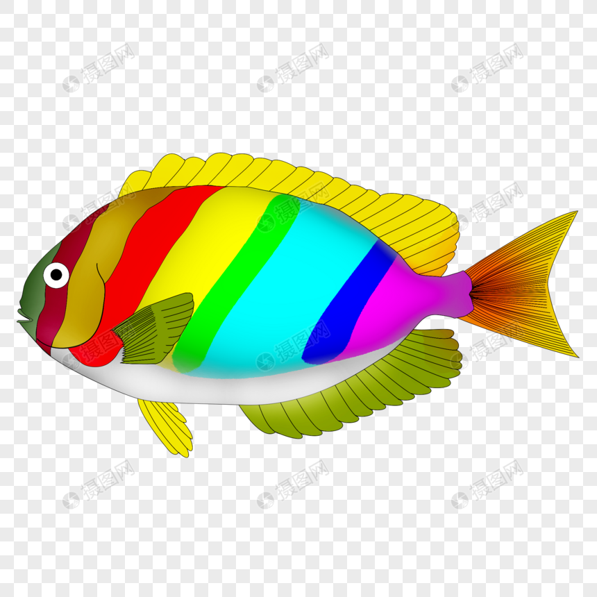 海洋生物彩色鱼