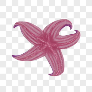 红紫色海星图片