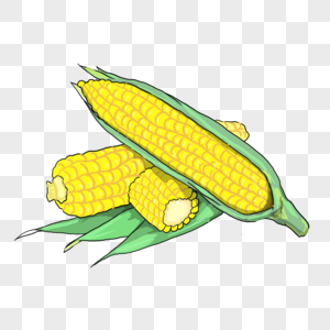 玉米玉米播种高清图片