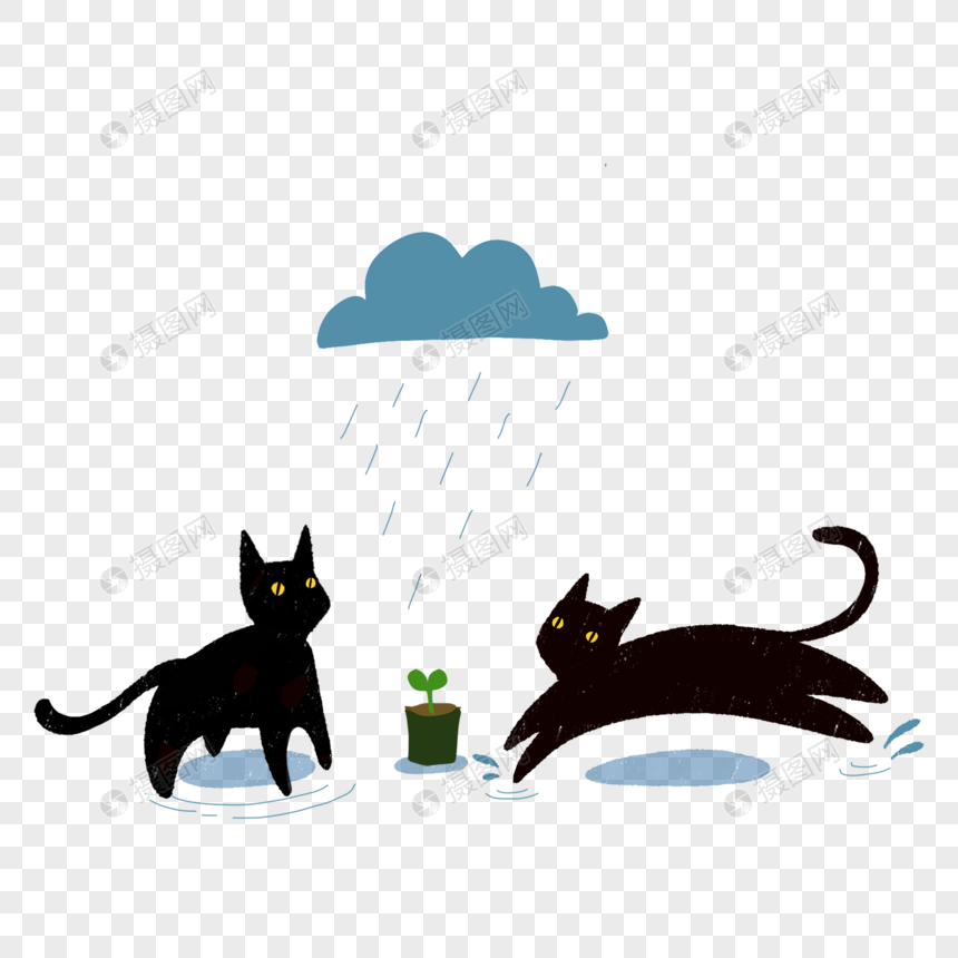 雨天黑猫小草图片