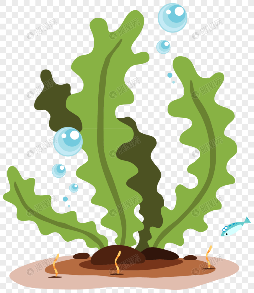 海草