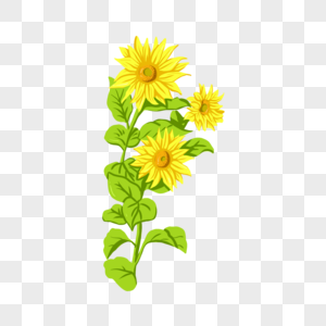 手绘黄色向日葵花卉植物图片