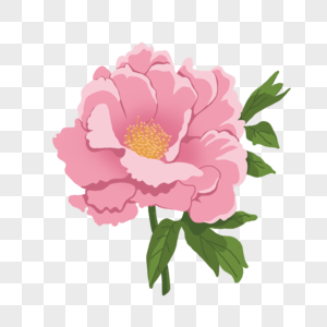 手绘粉色牡丹花花卉植物图片
