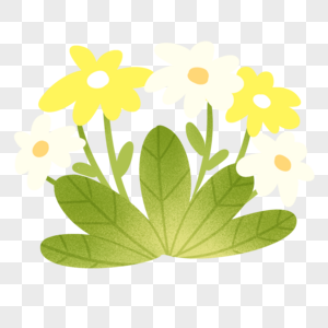 黄色花朵免抠高清图片素材