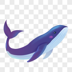 海洋生物蓝鲸鲸目高清图片