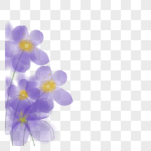 花紫色花背景高清图片