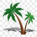 椰子树植物图片