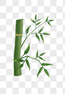 绿色竹竿竹叶图片