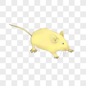 黄色小老鼠图片
