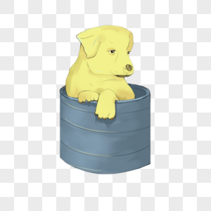在小桶里的可爱小狗图片
