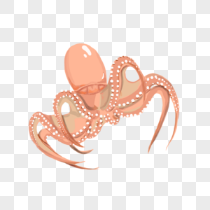 章鱼八爪金龙高清图片