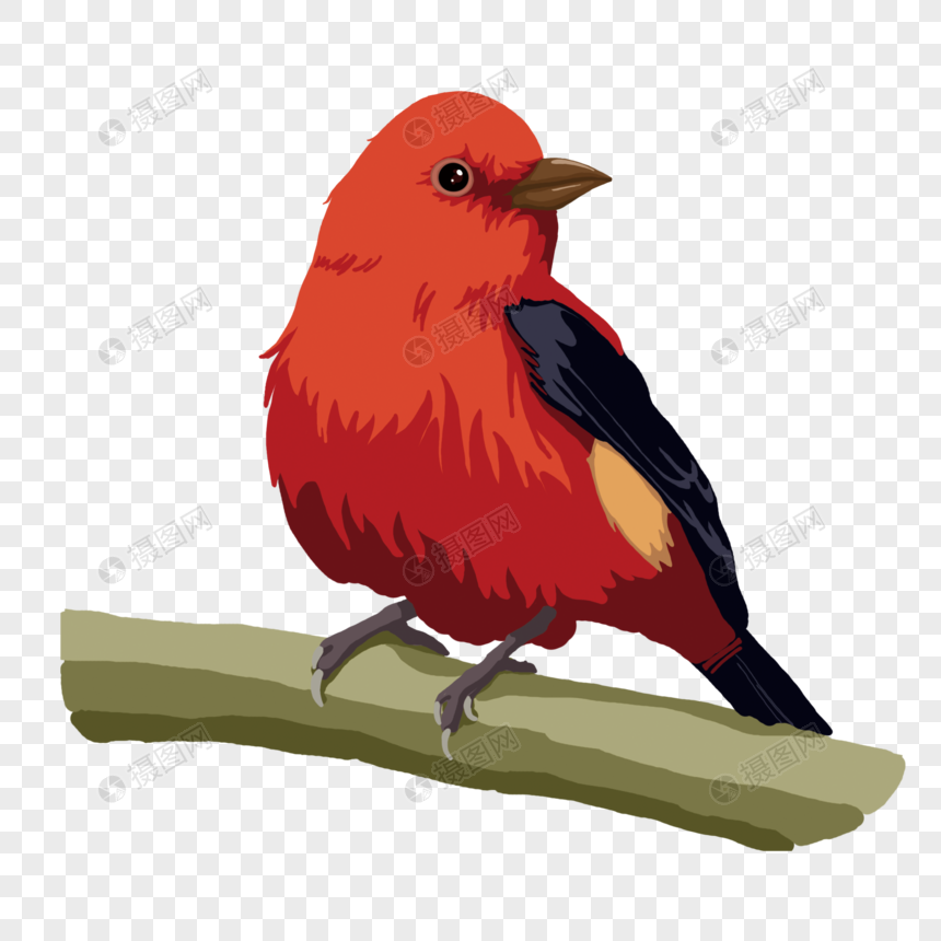 手绘红色可爱小鸟动物元素图片