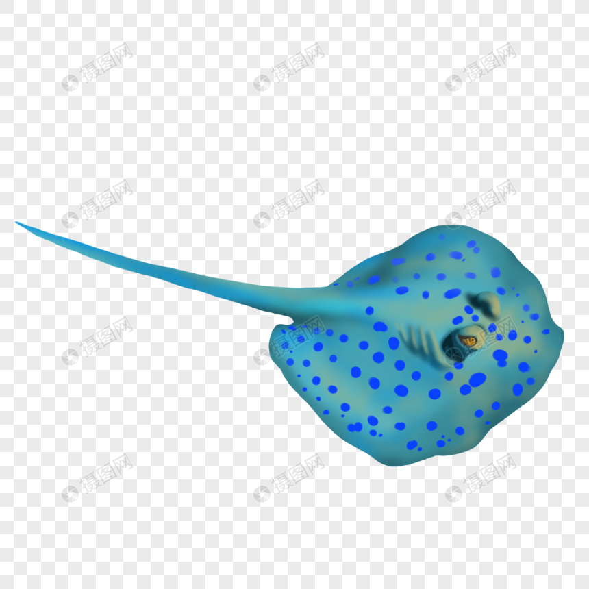 手绘海洋生物鳐鱼