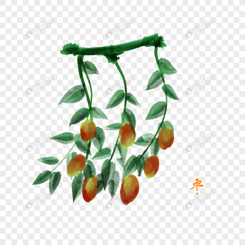 卡通植物枣插图
