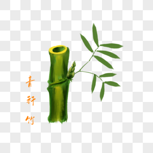 卡通药材青秆竹插图图片