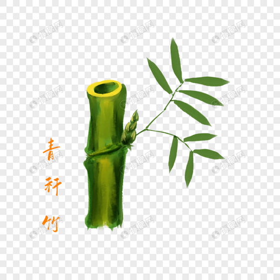 卡通药材青秆竹插图图片