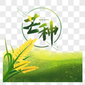 水稻芒种插画图片