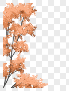 秋季树木森林图片