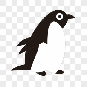 海洋动物小企鹅高清图片