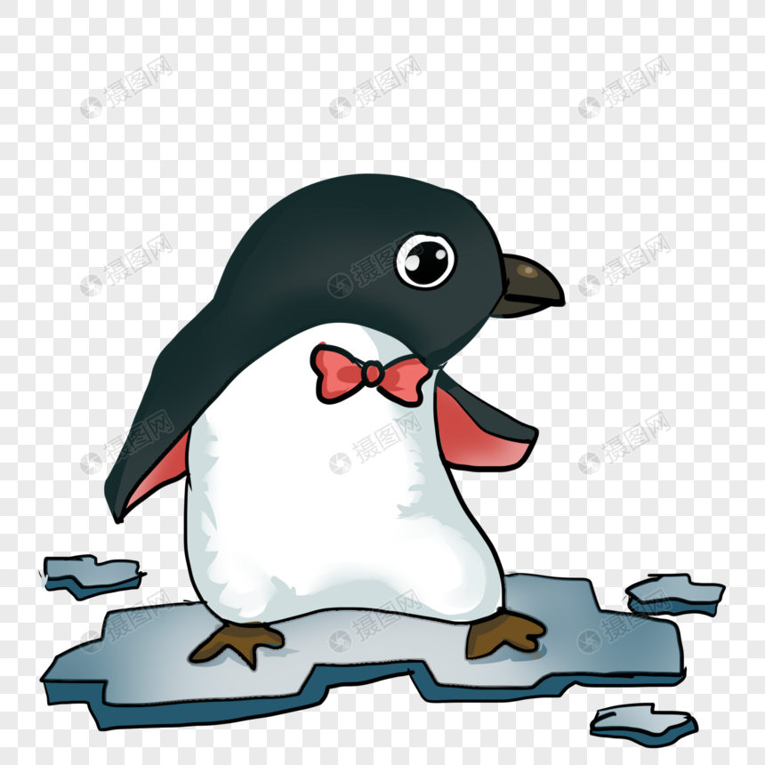 站在冰面上的企鹅图片