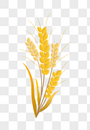 芒种小麦粮食成熟矢量插画元素手绘图片