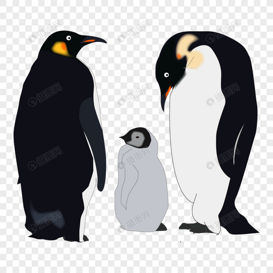 可爱手绘卡通动物南极企鹅一家三口图片