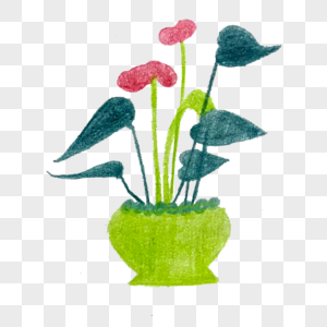 盆栽彩铅手绘花朵高清图片