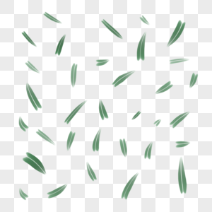 竹叶漂浮图片