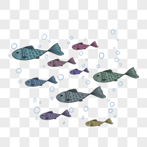 五颜六色的鱼群在游图片