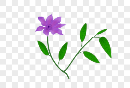 紫色神秘花卉素材图片