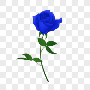 蓝玫瑰玫瑰花蓝玫瑰高清图片