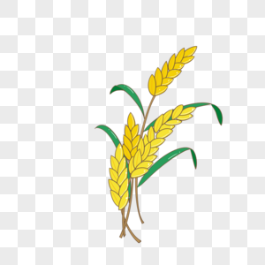 芒种金色麦子绿色植物卡通手绘装饰图案高清图片
