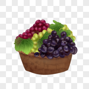 新鲜营养餐后水果多种葡萄高清图片