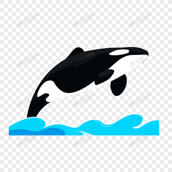 手绘虎鲸鲸鱼海洋动物免抠元素图片
