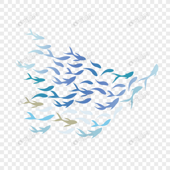 世界海洋日鱼群图片