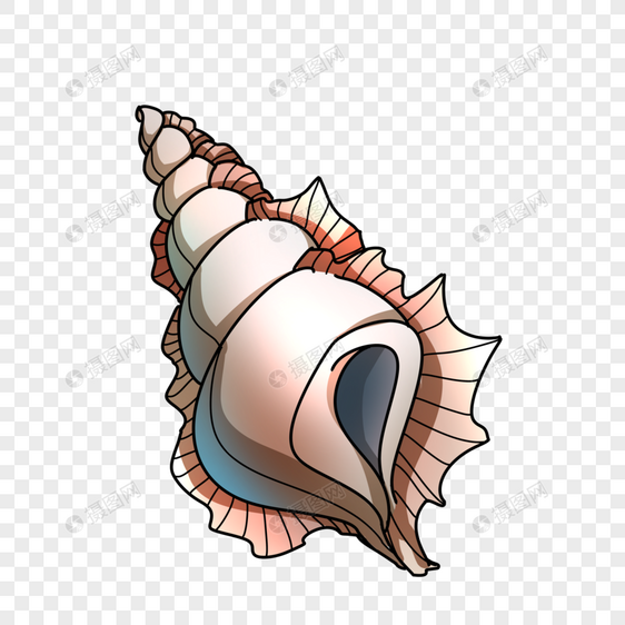 海螺图片