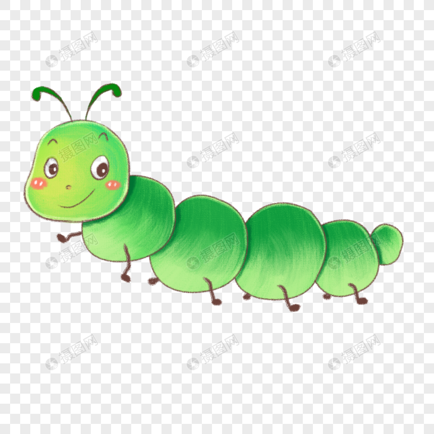 小青虫
