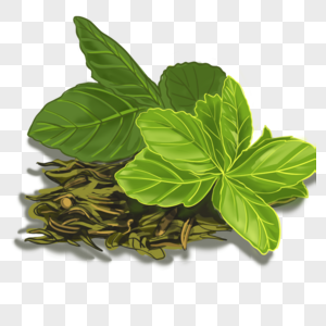茶绿色茶叶子高清图片