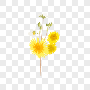环境保护日清新夏日手绘花卉植物黄色菊花花枝卡通装饰高清图片