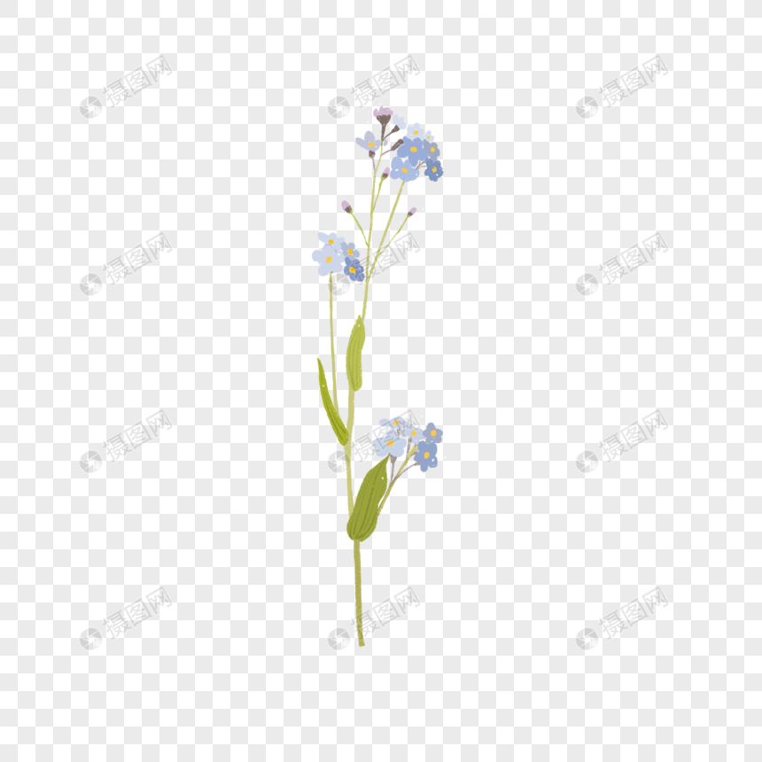 世界环境日夏日清新花卉勿忘我紫色小花卡通手绘