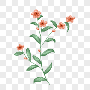 手绘植物迎春花图片