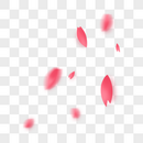 粉红色花瓣图片