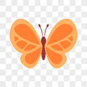 橙色蝴蝶橙色花纹高清图片