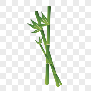 竹子植物清明节高清图片